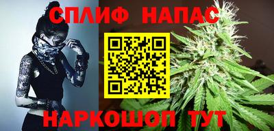 тгк Будённовск