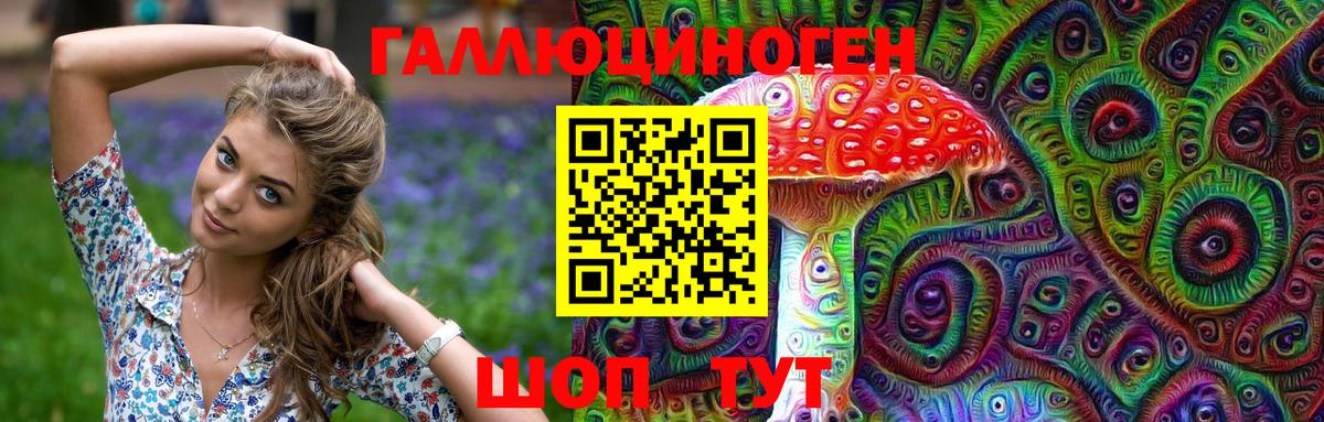 Унеча  Галлюциногенные грибы Psilocybine cubensis  Вход с VPN 